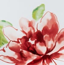 colorImage