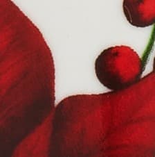 colorImage
