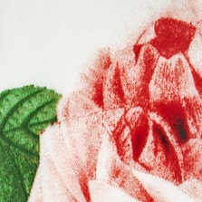 colorImage