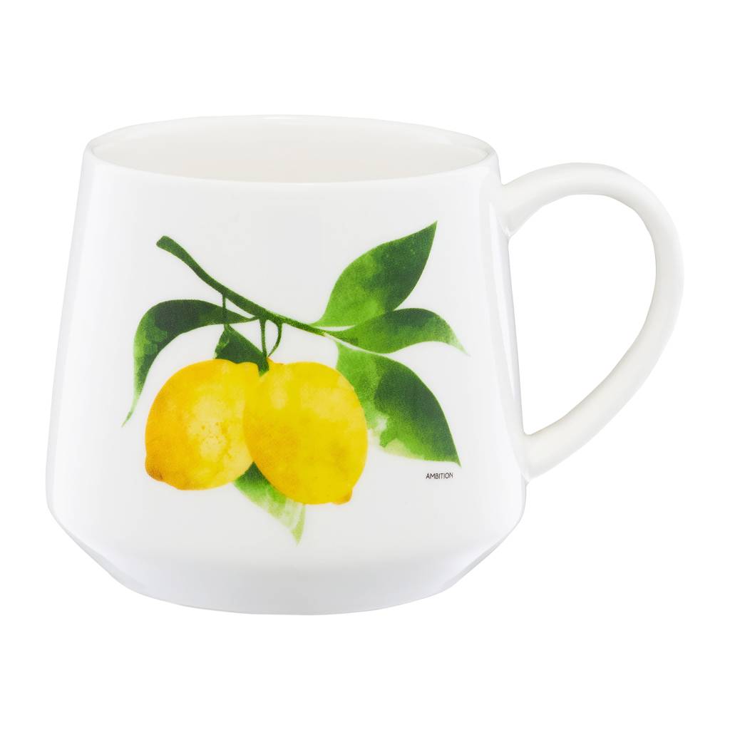 https://dajar.pl/media/catalog/product/1/9/19925_z.jpg